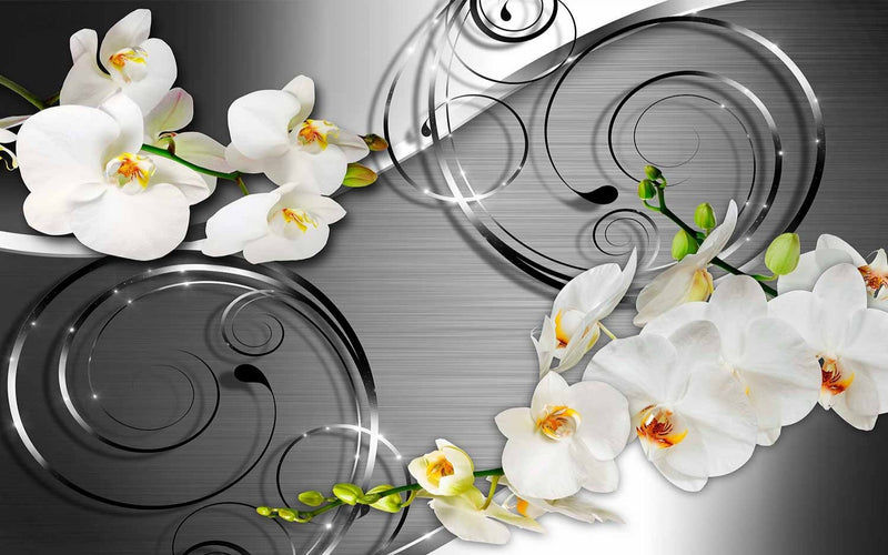Fototapetes baltas orchidejas ar dekoriem, 59715