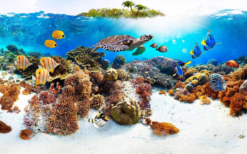 Fototapetes - tropisko zivju un bruņurupuču zemūdens pasaule, 59998