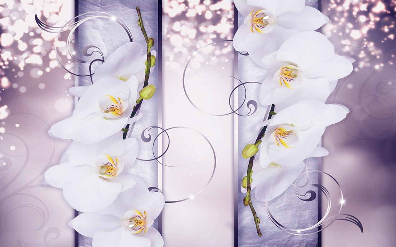 Fototapetes - Burvīgās orhidejas uz violeta fona, 60175
