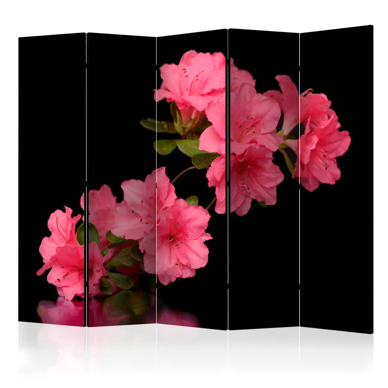 Aizslietnis 5-daļīgs - Azalea melnā krāsā (225x172cm) 225x172 cm Home Trends