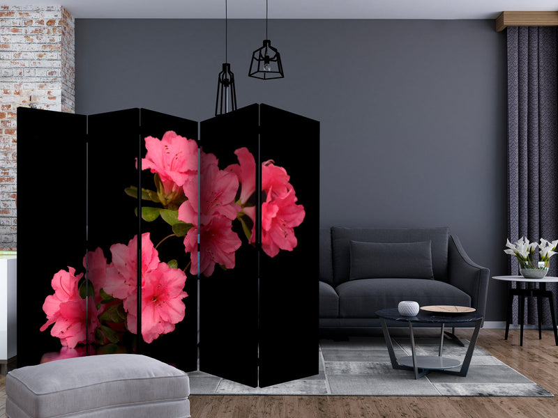 Aizslietnis 5-daļīgs - Azalea melnā krāsā (225x172cm) 225x172 cm Home Trends