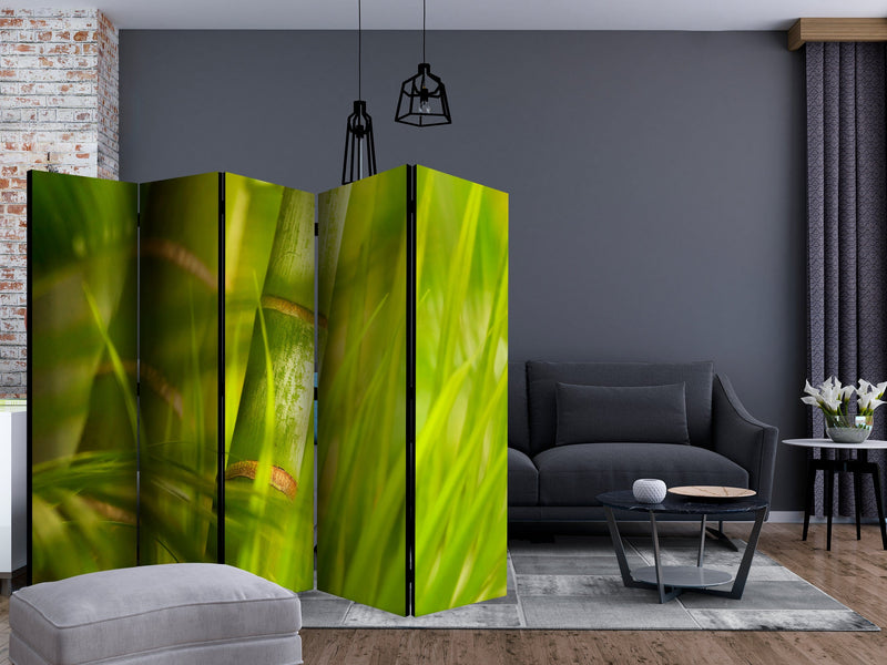 Aizslietnis 5-daļīgs - bambuss - dabas zen (225x172cm) 225x172 cm Home Trends