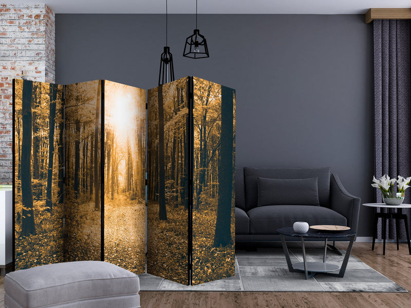 Aizslietnis 5-daļīgs - Maģiskā gaisma (225x172cm) 225x172 cm Home Trends