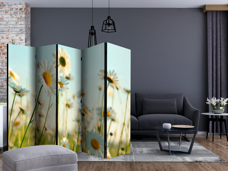 Aizslietnis 5-daļīgs - Margrietiņas - pavasara pļava 3. versija (225x172cm) 225x172 cm Home Trends