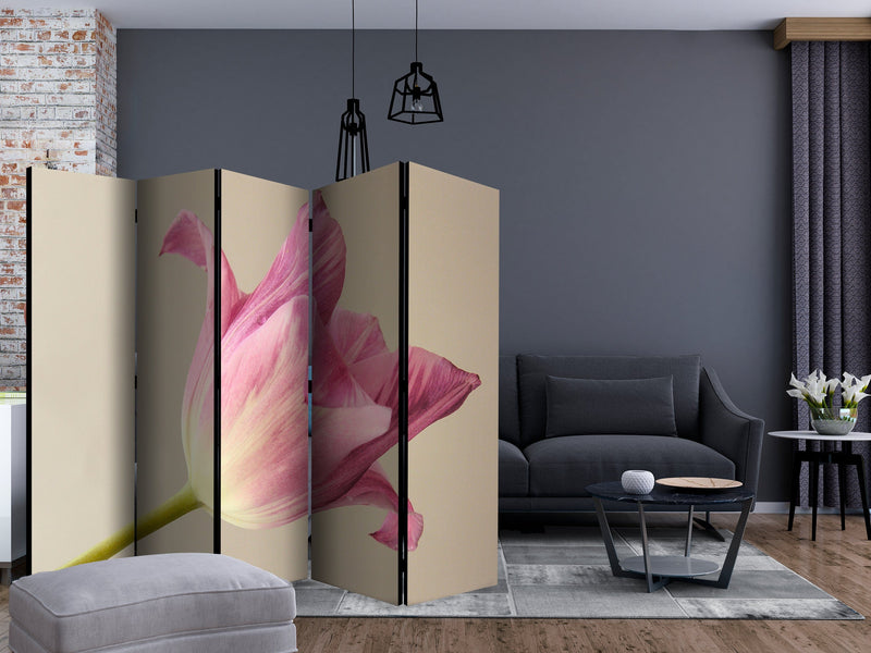 Aizslietnis 5-daļīgs - Rozā tulpe (225x172cm) 225x172 cm Home Trends