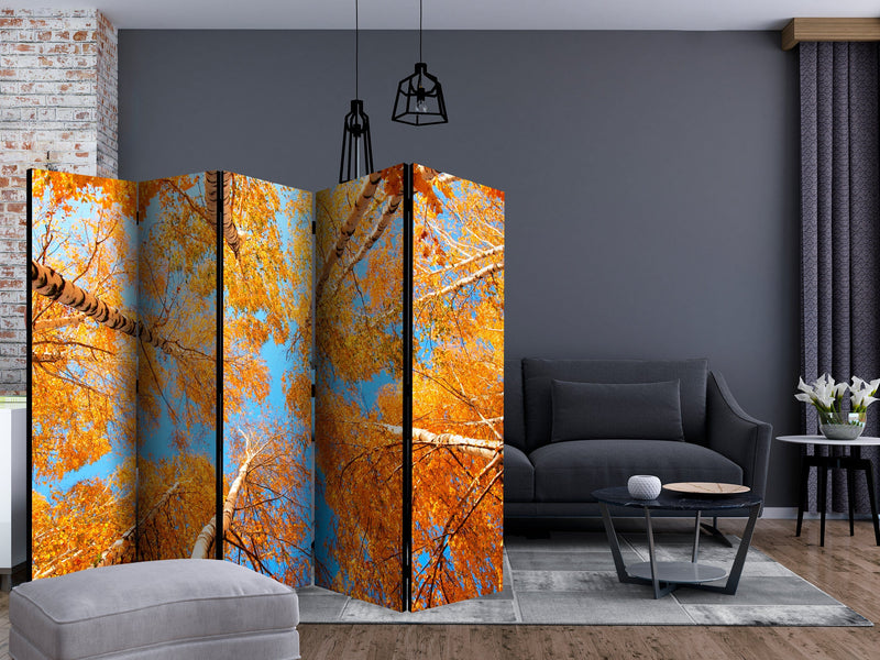 Aizslietnis 5-daļīgs - Rudens koku galotnes (225x172cm) 225x172 cm Home Trends