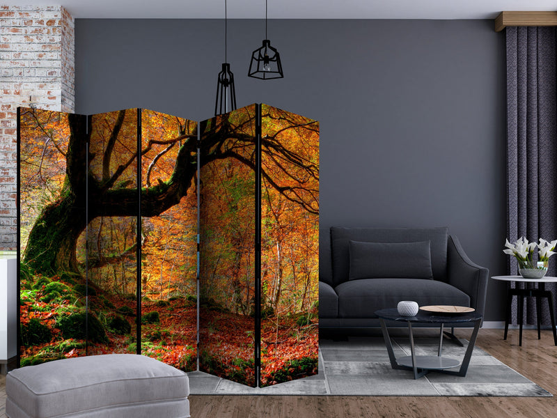 Aizslietnis 5-daļīgs - Rudens, mežs un lapas (225x172cm) 225x172 cm Home Trends