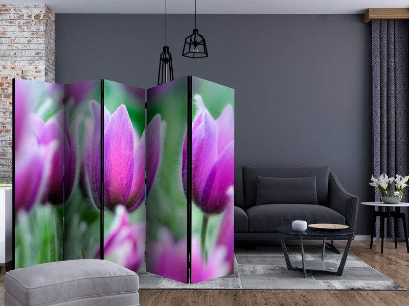 Aizslietnis 5-daļīgs - Violetas pavasara tulpes (225x172cm) 225x172 cm Home Trends