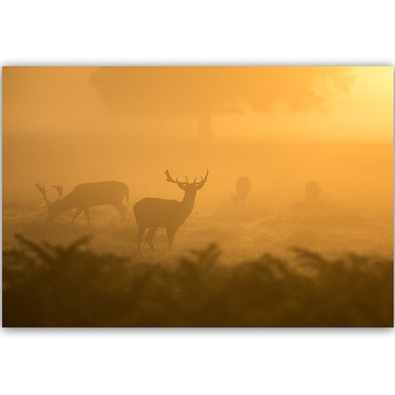 Dekoratīvais panelis - A Herd Of Deer At Dawn  Home Trends Deco