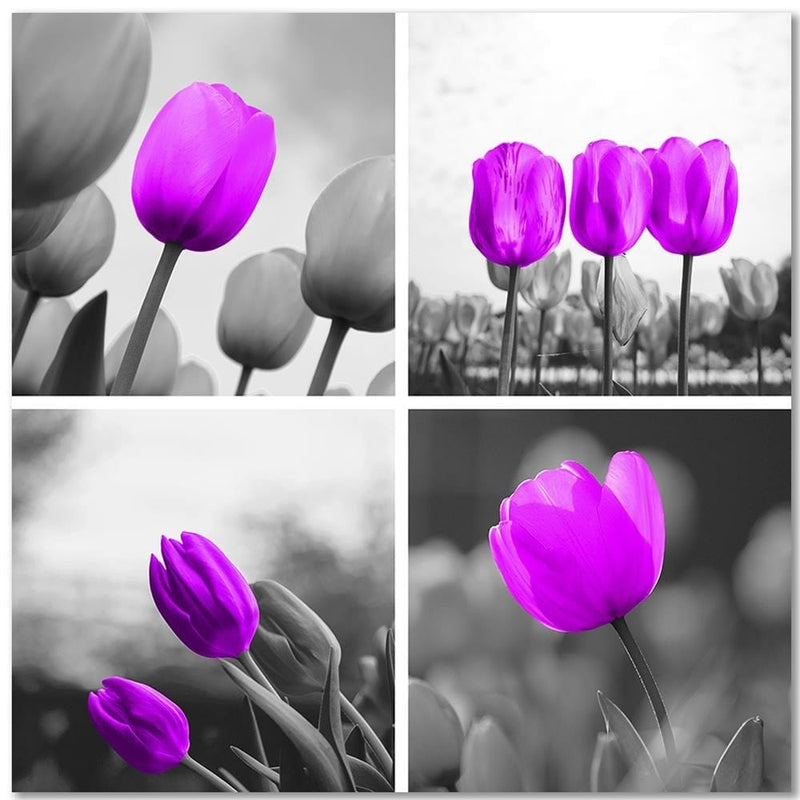 Dekoratīvais panelis - A Set Of Purple Tulips  Home Trends Deco