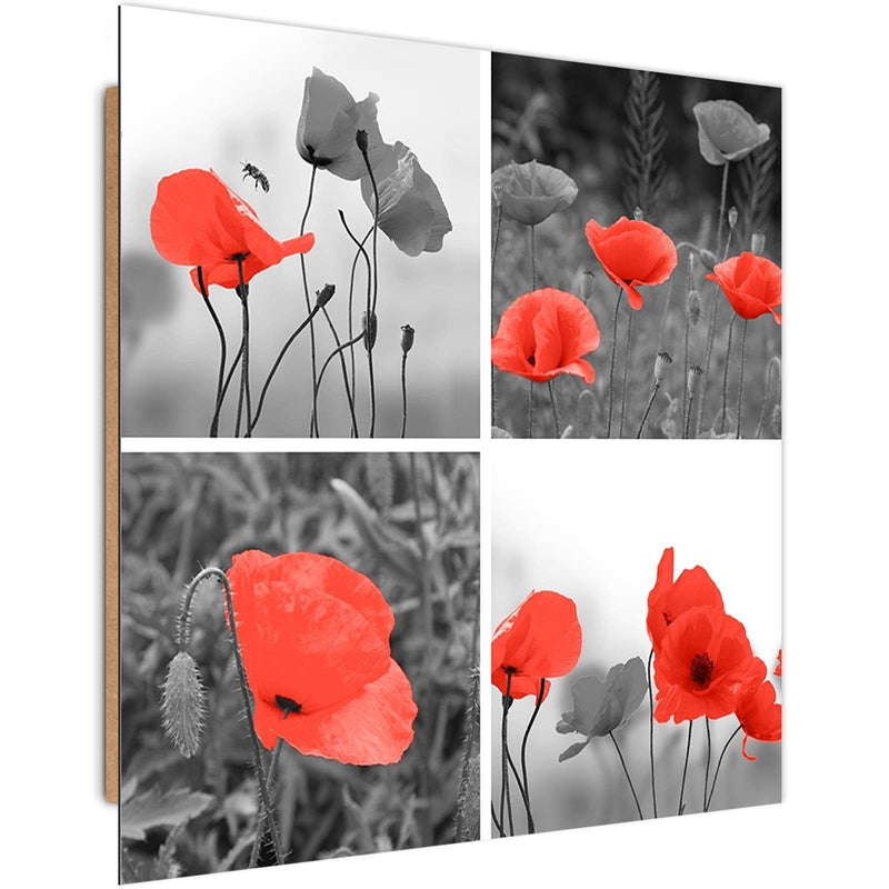 Dekoratīvais panelis - A Set Of Red Poppies  Home Trends Deco