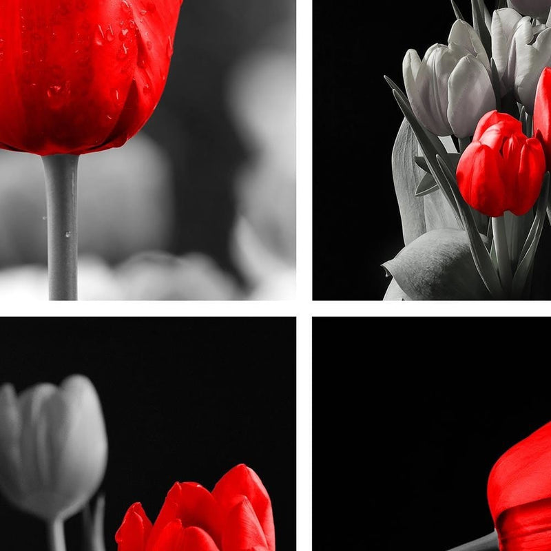 Dekoratīvais panelis - A Set Of Red Tulips  Home Trends Deco