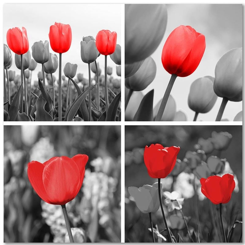 Dekoratīvais panelis - A Set Of Red Tulips In Gray  Home Trends Deco