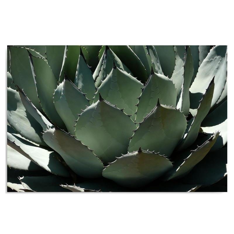 Dekoratīvais panelis - Agave 3  Home Trends Deco