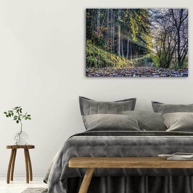 Dekoratīvais panelis - Autumn Leaves On The Road In The Forest  Home Trends Deco