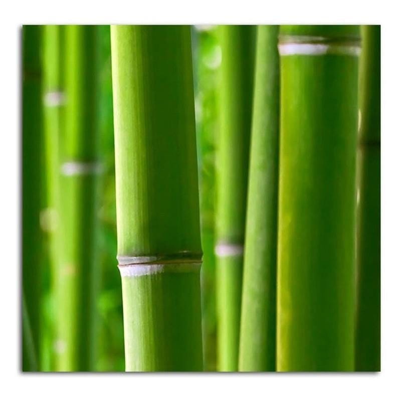 Dekoratīvais panelis - Bamboos  Home Trends Deco