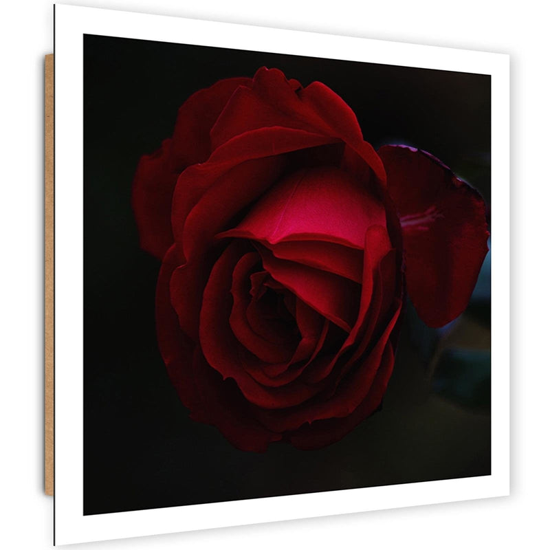 Dekoratīvais panelis - Beautiful Red Rose  Home Trends Deco