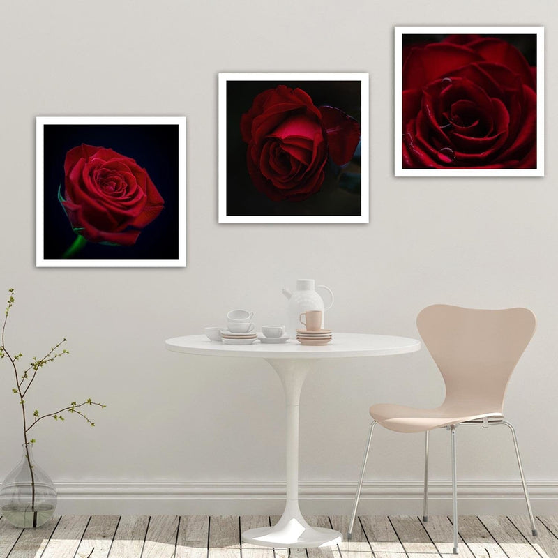 Dekoratīvais panelis - Beautiful Red Rose  Home Trends Deco