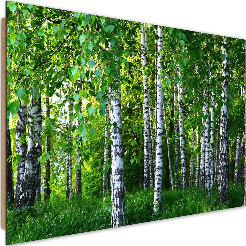 Dekoratīvais panelis - Birch Forest  Home Trends Deco