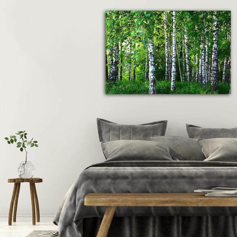 Dekoratīvais panelis - Birch Forest  Home Trends Deco