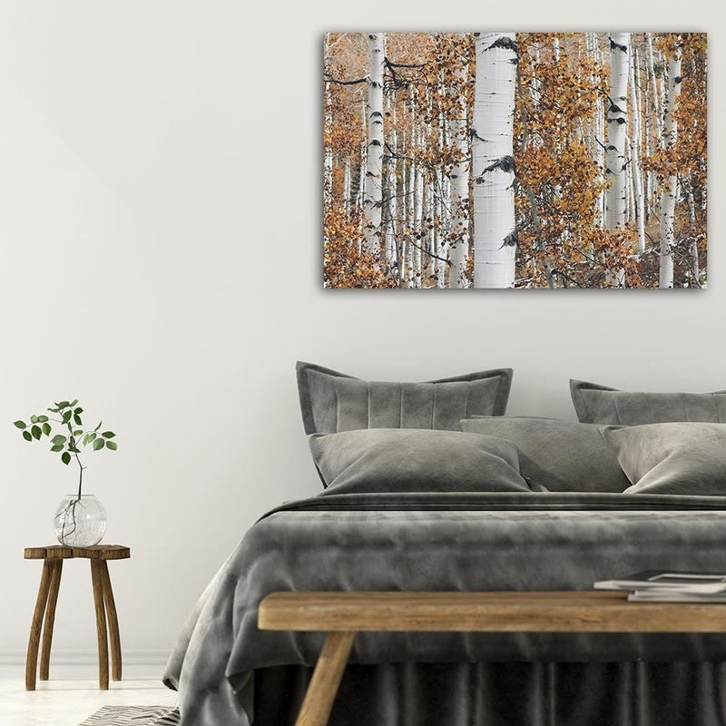 Dekoratīvais panelis - Birches  Home Trends Deco