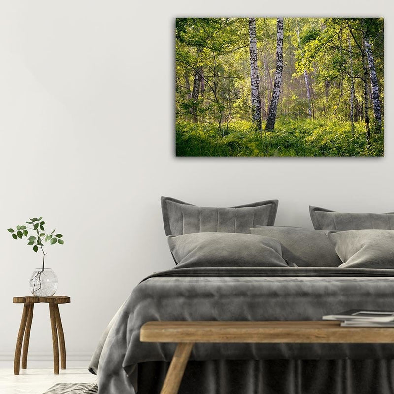 Dekoratīvais panelis - Birches In The Middle Of The Forest  Home Trends Deco