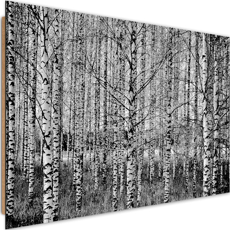 Dekoratīvais panelis - Black And White Birch  Home Trends Deco