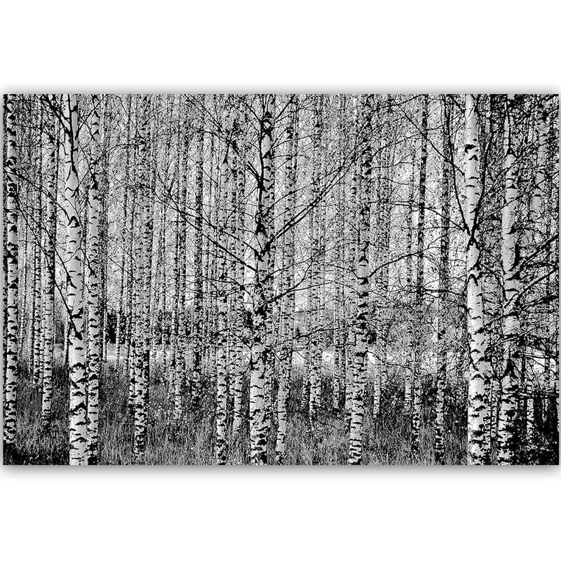 Dekoratīvais panelis - Black And White Birch  Home Trends Deco