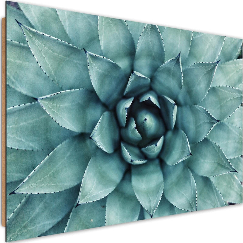 Dekoratīvais panelis - Blue Aloe  Home Trends Deco