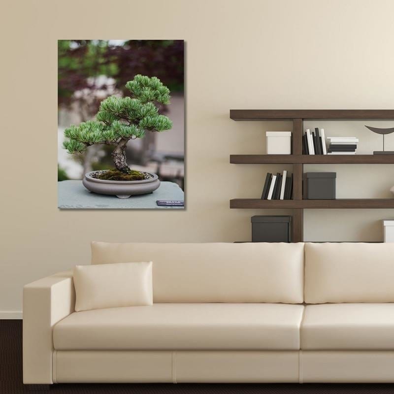 Dekoratīvais panelis - Bonsai  Home Trends Deco