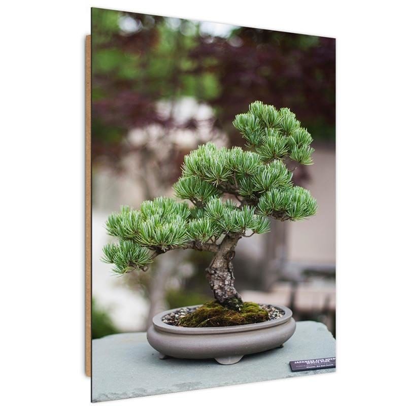 Dekoratīvais panelis - Bonsai  Home Trends Deco