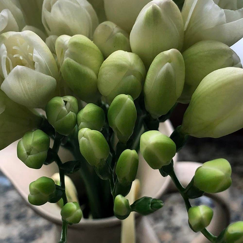 Dekoratīvais panelis - Bouquet Of Freesia  Home Trends Deco