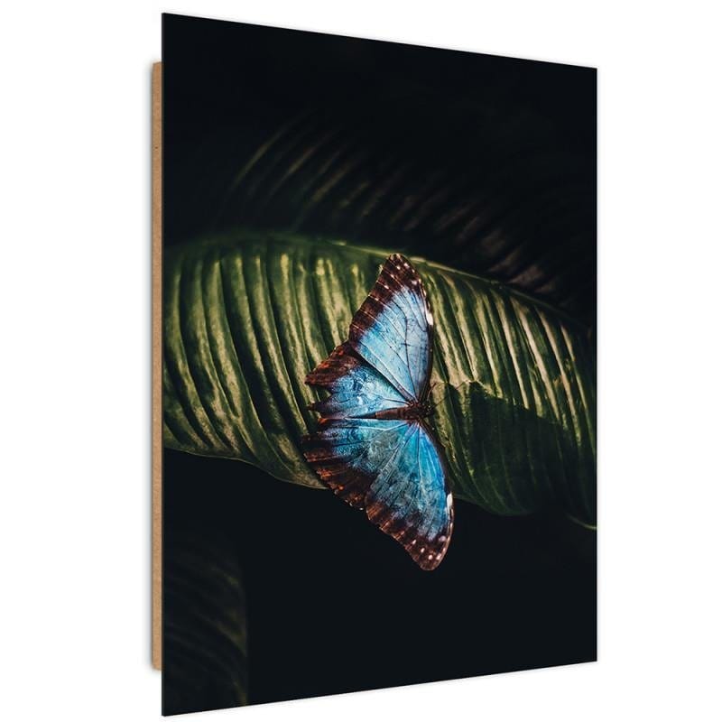 Dekoratīvais panelis - Butterfly On A Leaf  Home Trends Deco