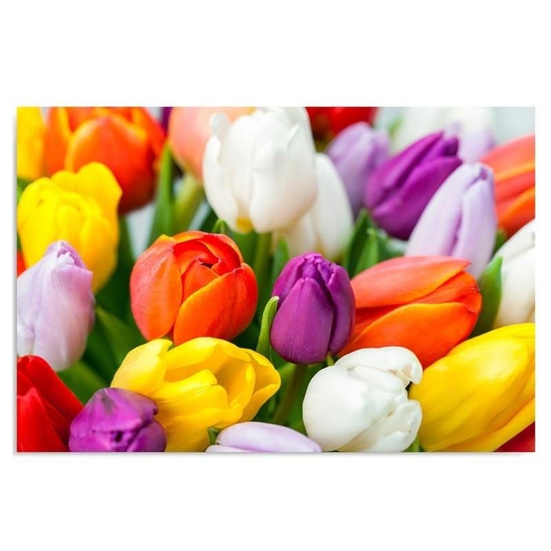 Dekoratīvais panelis - Colorful Tulips  Home Trends Deco