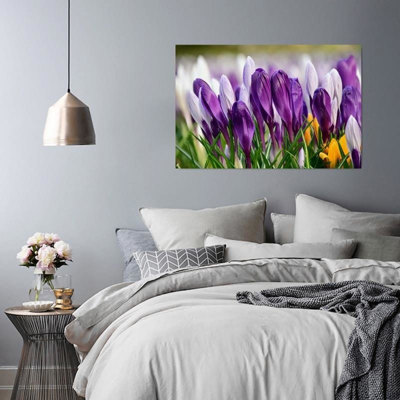 Dekoratīvais panelis - Crocuses 5  Home Trends Deco