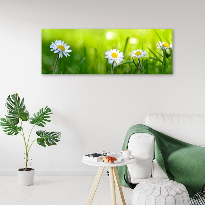 Dekoratīvais panelis - Daisy Flower  Home Trends