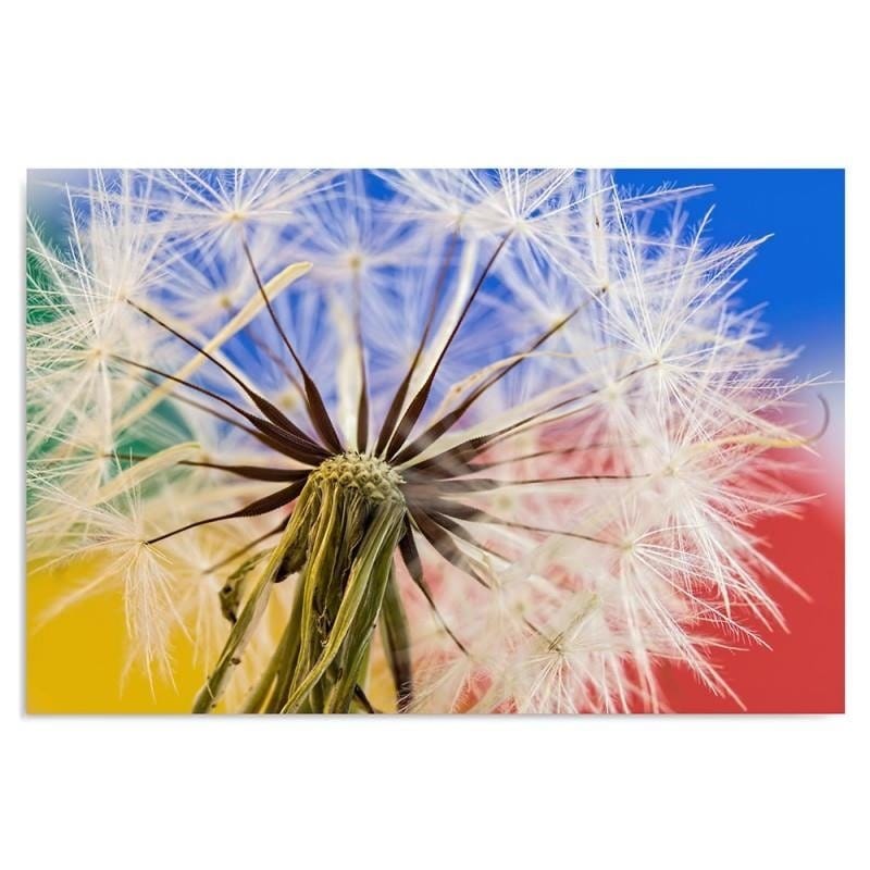 Dekoratīvais panelis - Dandelion 4  Home Trends Deco