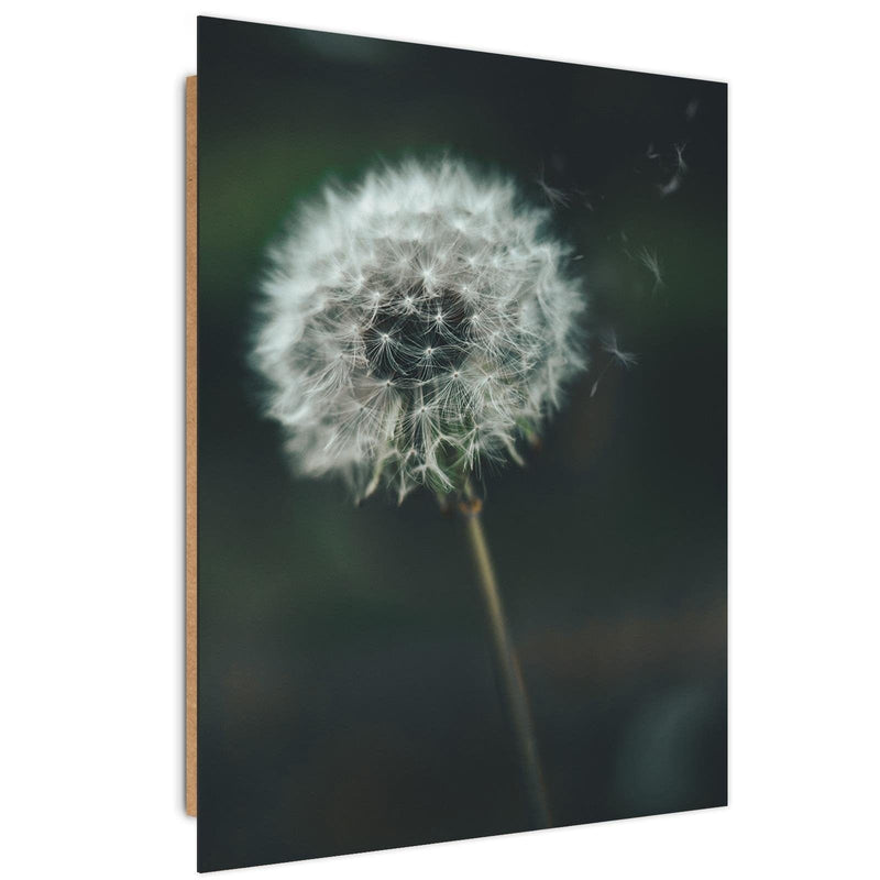 Dekoratīvais panelis - Dandelion  Home Trends Deco