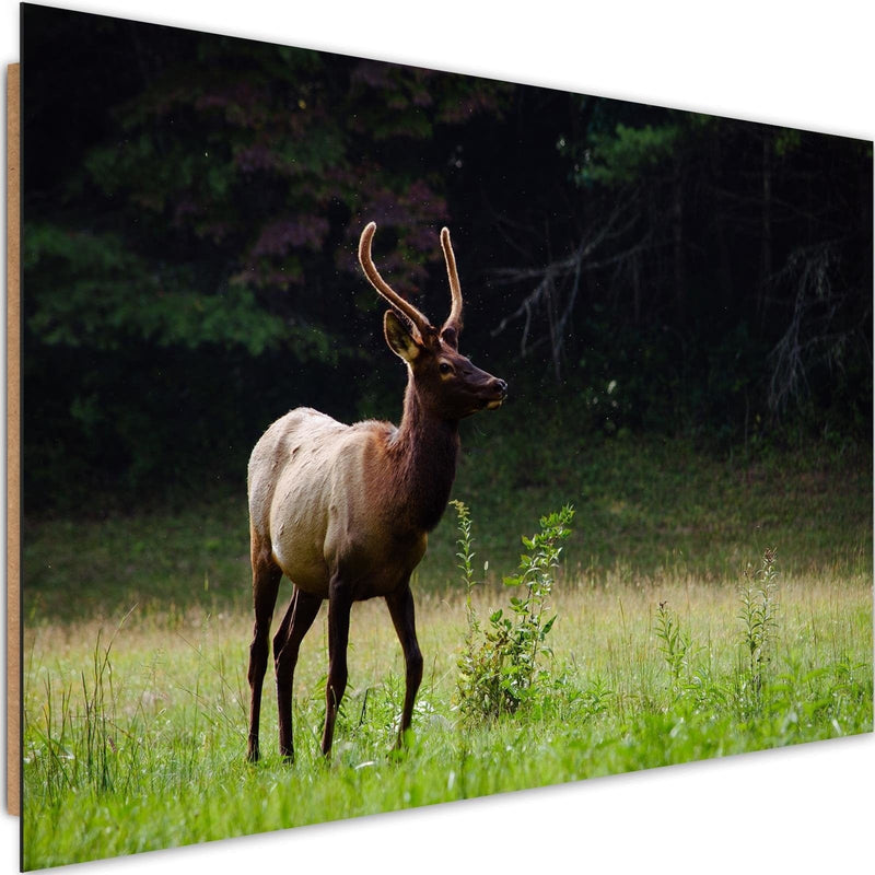 Dekoratīvais panelis - Deer In The Meadow  Home Trends Deco