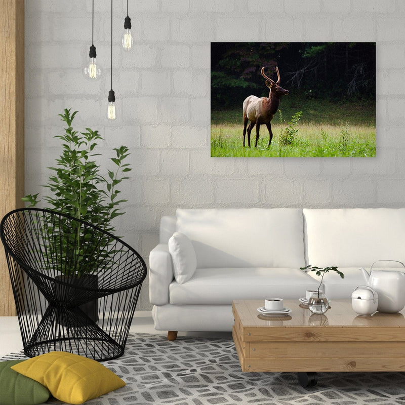 Dekoratīvais panelis - Deer In The Meadow  Home Trends Deco