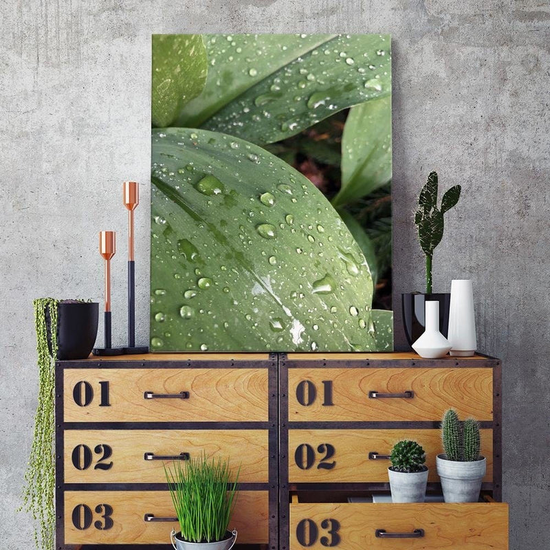 Dekoratīvais panelis - Dew On The Green Leaf  Home Trends Deco