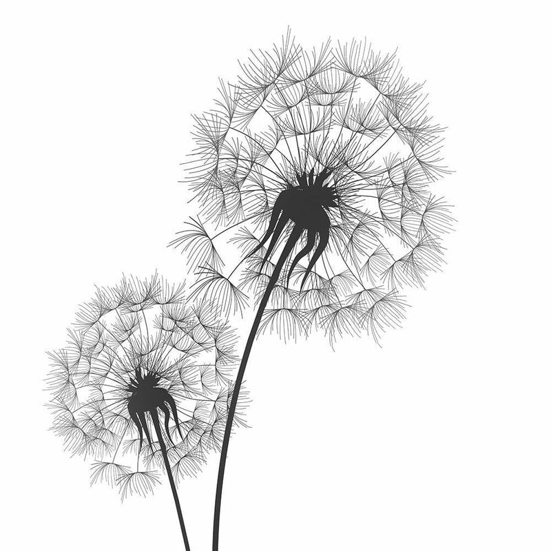 Dekoratīvais panelis - Drawn Two Dandelions  Home Trends Deco