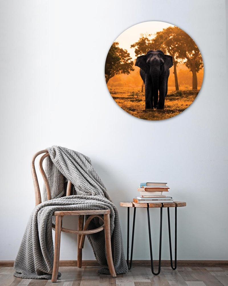 Dekoratīvais panelis - Elephant at dawn  Home Trends Deco