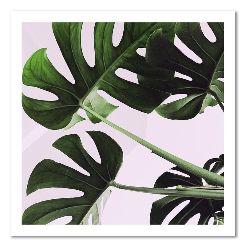 Dekoratīvais panelis - Exotic Leaves Monstera 1  Home Trends Deco