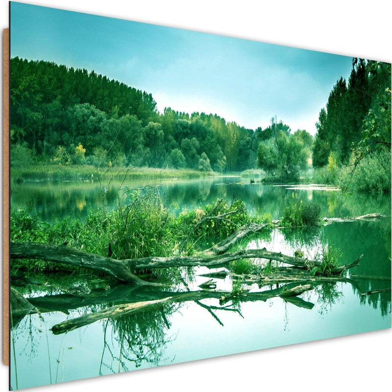 Dekoratīvais panelis - Fallen Tree In The Lake 4  Home Trends Deco