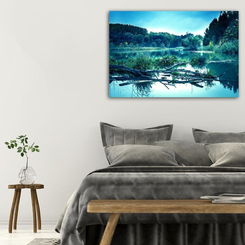 Dekoratīvais panelis - Fallen Tree In The Lake  Home Trends Deco