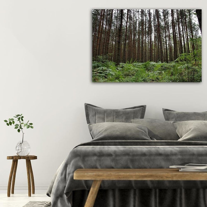 Dekoratīvais panelis - Ferns In The Forest  Home Trends Deco