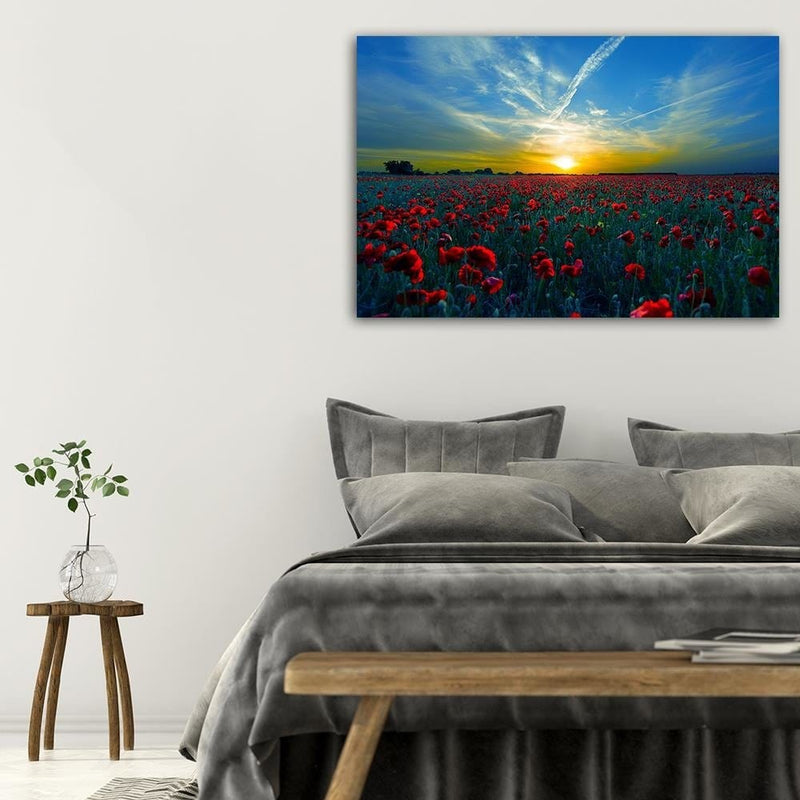 Dekoratīvais panelis - Field Of Red Poppies  Home Trends Deco