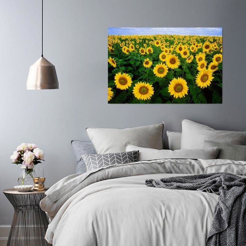 Dekoratīvais panelis - Field Of Sunflowers  Home Trends Deco