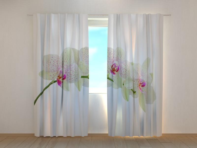 Dienas un nakts aizkari - Baltās orhidejas zariņš 180 x 140 cm (2X 90x140 cm) / SCREEN E-interjers.lv
